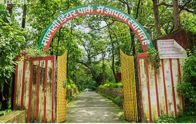 Malsi Deer Park: Dehradun