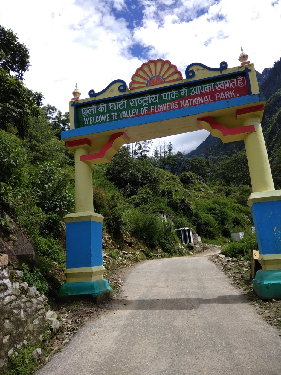 Valley of Flowers Trek: