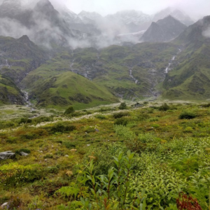 Valley Of Flowers Trek