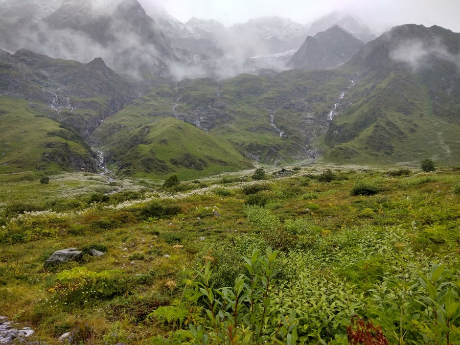 Valley Of Flowers Trek