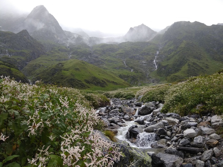  Valley of Flowers View