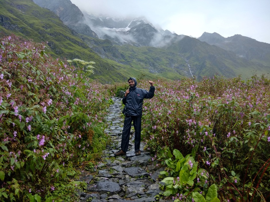 Valley of Flowers Trek